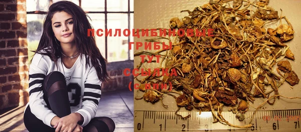 бошки Арсеньев